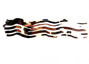 Аутор-Дејан-Мандић